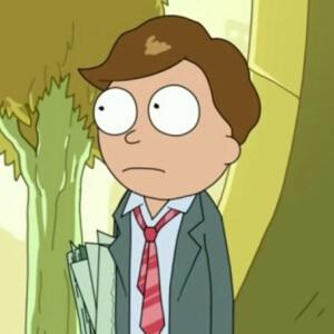 Lawyer Morty