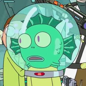 Aqua Morty